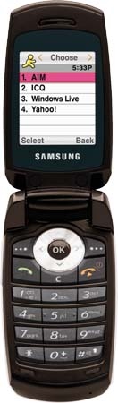 Samsung SGH-T219