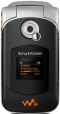 SonyEricsson W300