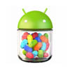    Samsung  HTC   ,   Android Jelly Bean
