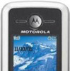 Motorola C168:   