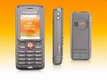 Sony Ericsson W200i     