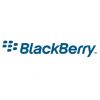  RIM  BlackBerry Business Cloud Services  Microsoft Office 365  