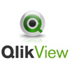 QlikView for iOS -         -,      